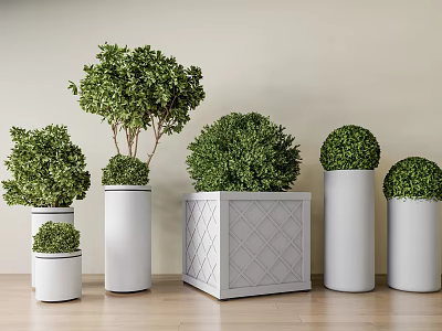 Bonsai Plants In Various Planters With White Cylindrical And Gray Square Pots On Wooden Floor 3d model