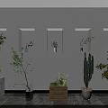 Bonsai and Potted Plants Display in Wall Niches and Floor with Concrete Wooden Woven Planters