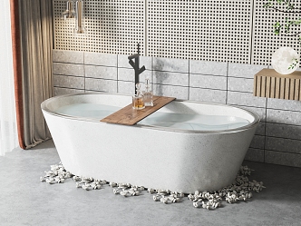 Modern Bathtub 3d model