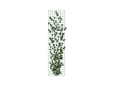 Vine Growing On Vertical Grid With Green Leaves And Lush Foliage 3d model