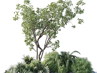 Lush Green Tree Surrounded by Various Green Plants Ferns and Shrubs 3d model