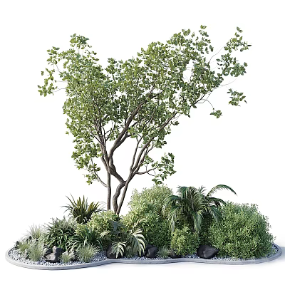 Lush Green Tree Surrounded by Various Green Plants Ferns and Shrubs 3d model
