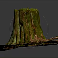 Natural Wood Tree Stump With Green Moss And Rustic Branches On Ground