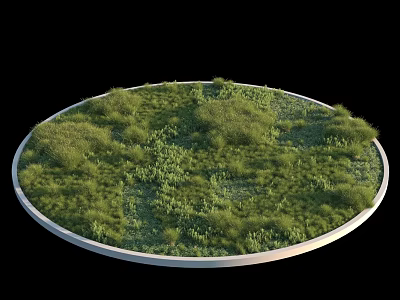 Green Shrubs In Circular Area With White Border Lush Vegetation And Black Background 3d model