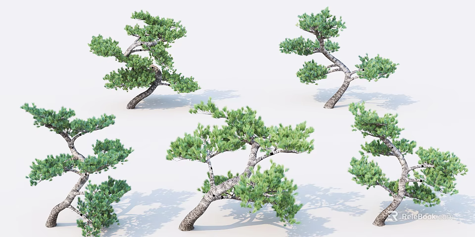 Unique Curved Trunk Pine Trees With Lush Green Foliage In Natural Scene 3d model 