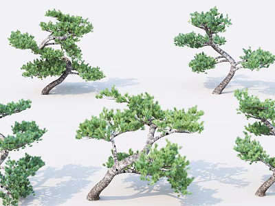 Unique Curved Trunk Pine Trees With Lush Green Foliage In Natural Scene 3d model