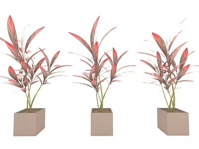 Indoor Decorative Bonsai Potted Plants with Red Green Leaves in Square Pots 3d model