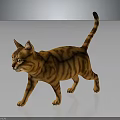 Orange Tabby Cat 3D Model in Walking Pose with Yellow Eyes on Gray Background 3d model