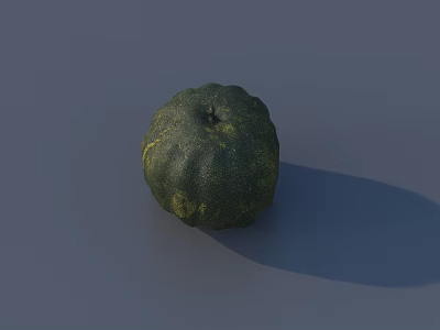 Green Round Vegetable Melon with Wrinkled Surface on Gray Background 3d model