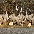White Pampas Grass in Front of Vines Covered Wall with Round Lights on Gray Gravel