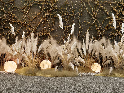 White Pampas Grass in Front of Vines Covered Wall with Round Lights on Gray Gravel 3d model