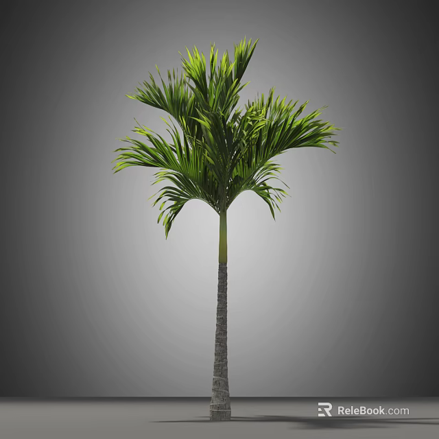 Lush Green Palm Tree With Feather Like Leaves And Slender Tall Trunk 3d model 