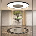 Indoor Hanging Decor With Floating Small Tree Exposed Roots And Water Pool 3d model