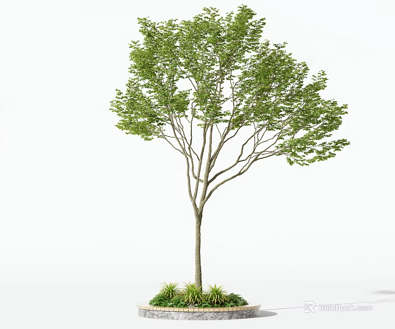 Lush Green Arbor with Straight Trunk and Circular Base Surrounding Small Plants 3d model 