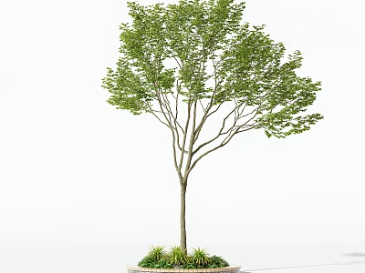 Lush Green Arbor with Straight Trunk and Circular Base Surrounding Small Plants 3d model