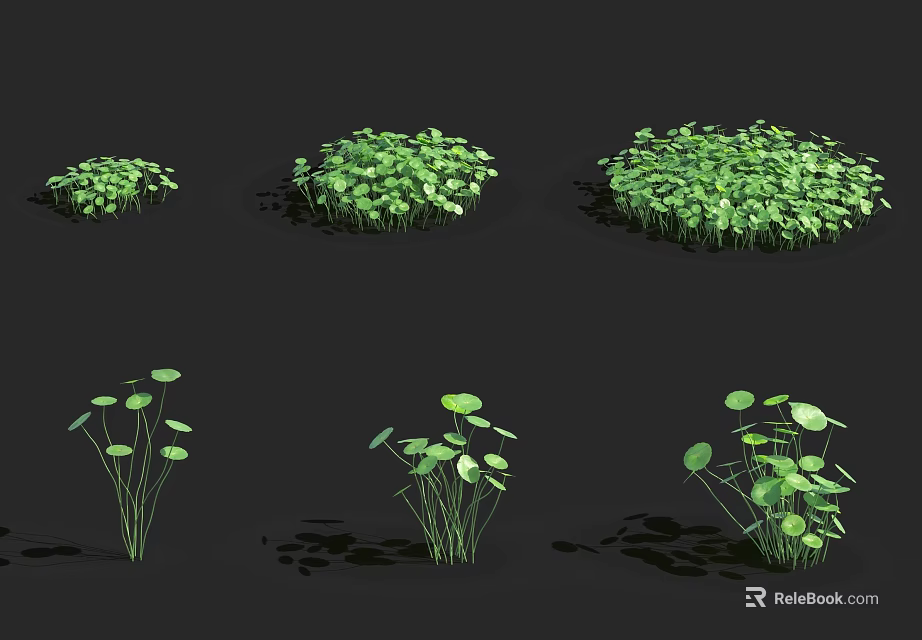 Various Green Garden Plants With Different Leaf Shapes And Growth Forms 3d model