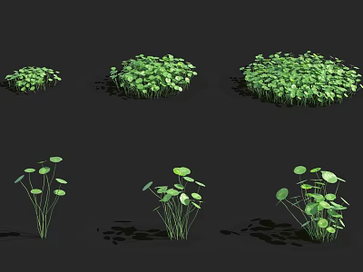 Modern plant Copper money grass mushroom grass 3d model Modern plant Copper money grass mushroom grass 3d model