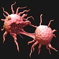 Biological Cells With Protruding Structures And Interconnected Features In 3D Rendering