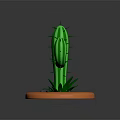 3D Rendered Green Cactus Desert Plant Natural Scene With Orange Base Stones And Grass Blades