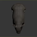 Realistic 3D Wombat Model With Brown Fur Stocky Body And Short Legs