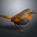 Small Brown Bird with Orange Chest Black Eyes and Pointed Beak Standing on Gray Surface