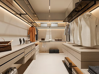 Modern Walk in Closet With Organized Storage Lighting And Clothing 3d model