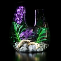 Decorative Ornament Sets Featuring Glass Vases Various Plants Purple And White Orchids