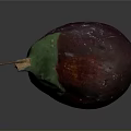 Anatomical Organ Structure Featuring Hair Follicles Purple Green And Brown Tissues