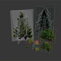 Diverse Green Plants Including Tall Pine Trees and Small Lush Foliage of Various Sizes
