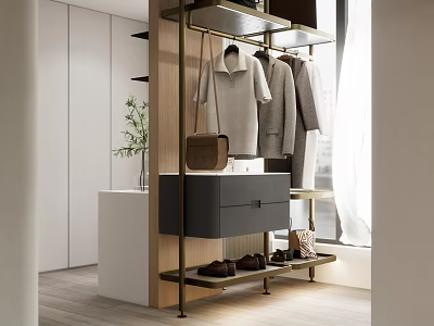 Modern Elegant Walk in Closet Interior Design With Hanging Clothes Drawers And Shoes 3d model