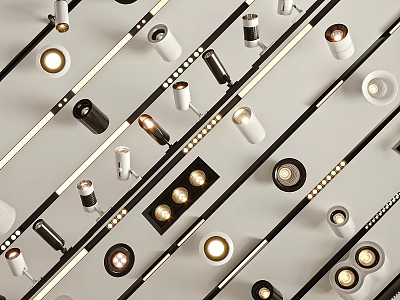 Various Designs of Downlights and Spotlights with Different Sizes and Finishes for Interior Lighting 3d model