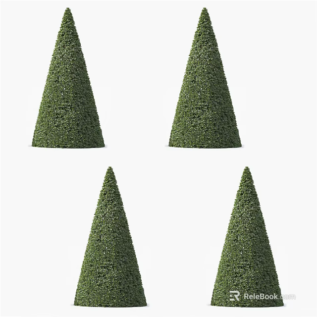 Four Well Trimmed Conical Green Shrubs In Garden Landscape Design 3d model 
