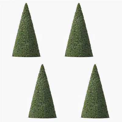 Modern shrubs 3d model