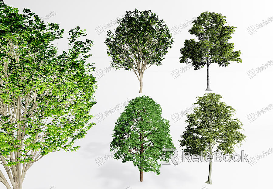 modern tree landscape tree modeling tree arbor model