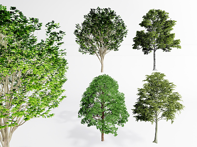 modern tree landscape tree modeling tree arbor model