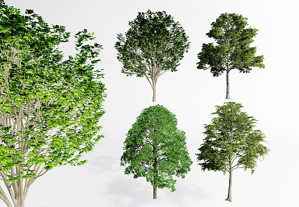 modern tree landscape tree modeling tree arbor 3d model