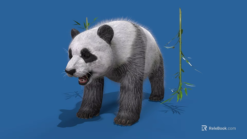 Fluffy Black And White Panda Standing With Green Bamboo Leaves On Blue Background 3d model 