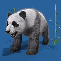 Fluffy Black And White Panda Standing With Green Bamboo Leaves On Blue Background