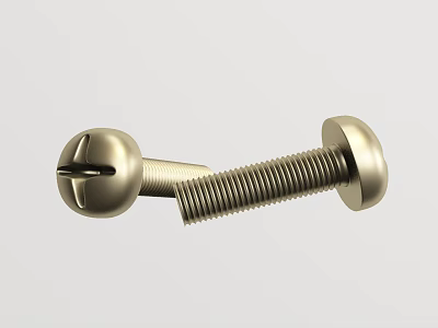 Close Up Of Two Brass Screws With Round Heads And Threads 3d model