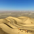 Desert Landscape With Camels Walking Across Golden Sand Dunes Under Blue Sky