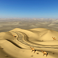 Modern Desert Camel 3d model