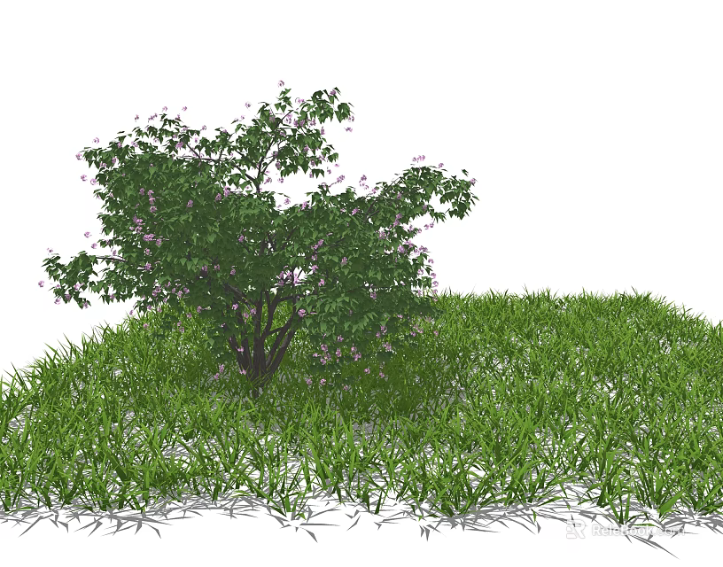 Lush Green Leaves and Purple Small Flowers on Tree Surrounded by Green Grass 3d model 