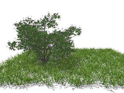 Lush Green Leaves and Purple Small Flowers on Tree Surrounded by Green Grass 3d model