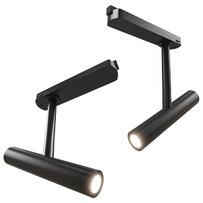 Black Modern Track Downlights And Spotlights For Home Ceiling Lighting Design 3d model