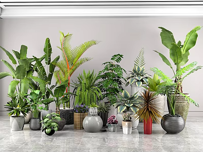 Potted Green Plants Various Large Small Types Different Shapes Materials White Wall Gray Floor 3d model
