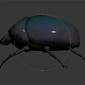 Metallic Iridescent Beetle With Green Purple Shiny Exoskeleton On Reflective Surface