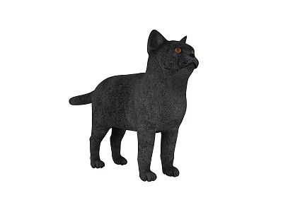 Black Reptile Standing Alert With Shiny Scales And Amber Eyes On White 3d model