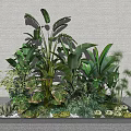 Various Shrubs And Green Foliage In Outdoor Landscape Planter With Different Plant Varieties