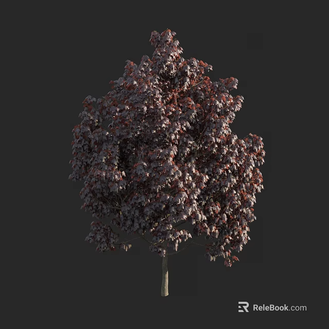 Lush Ornamental Arbor with Reddish Purple Leaves and Full Lush Canopy 3d model 