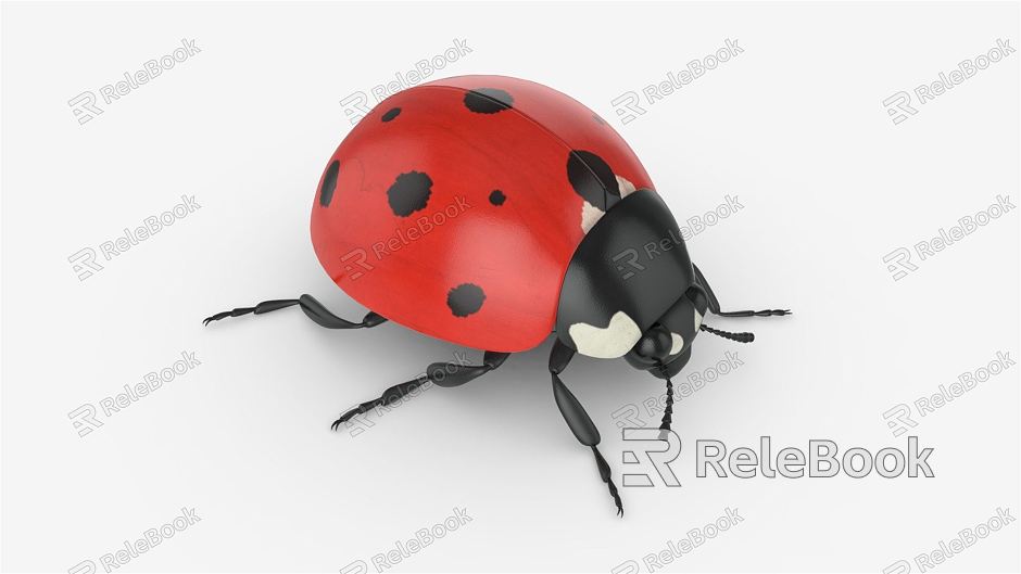 Modern Coccinella septempunctata model